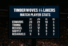 Timberwolves vs Lakers Match Player Stats