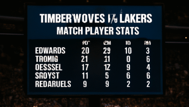 Timberwolves vs Lakers Match Player Stats